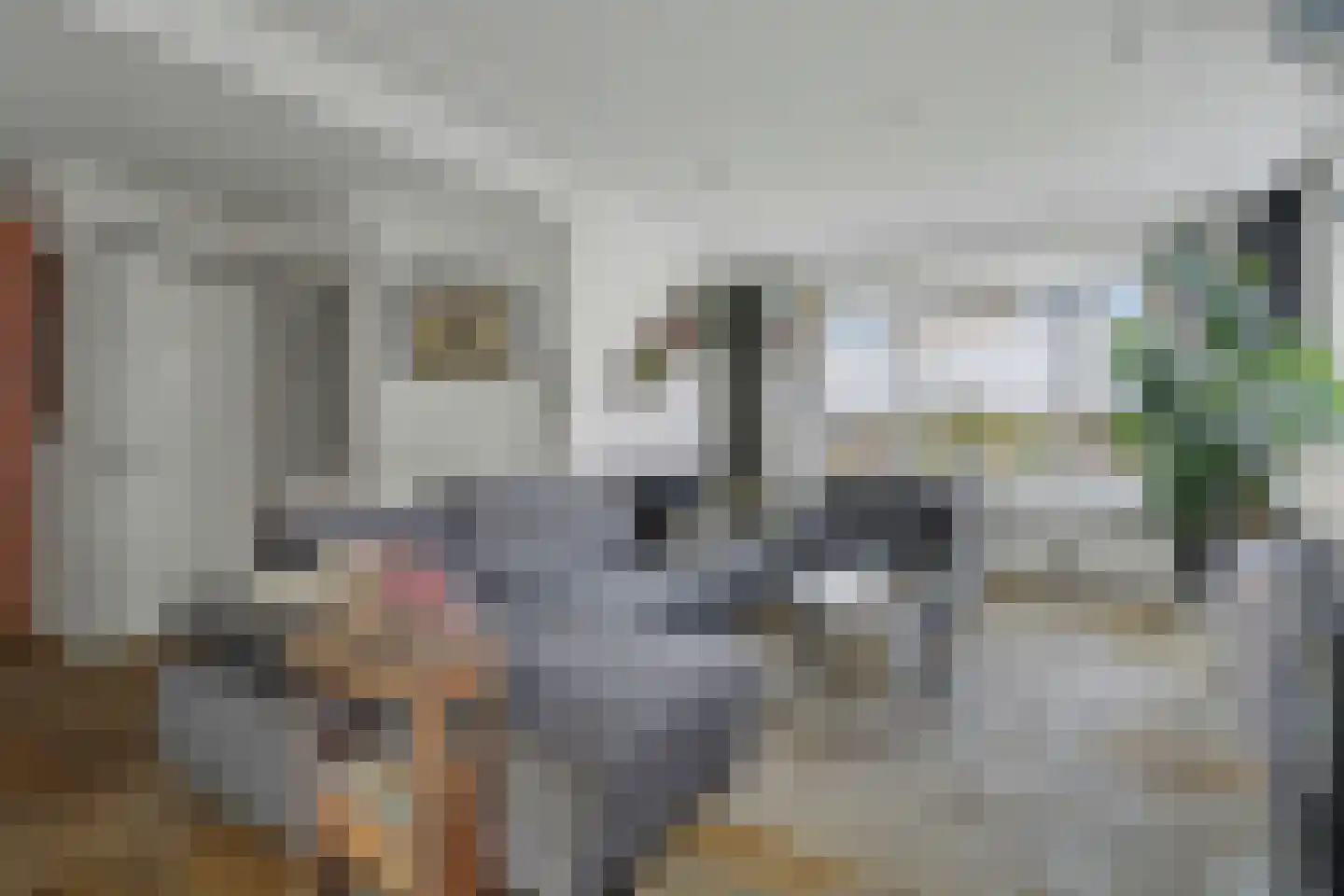 Molenstraat 41 b Goirle thumbnail 4