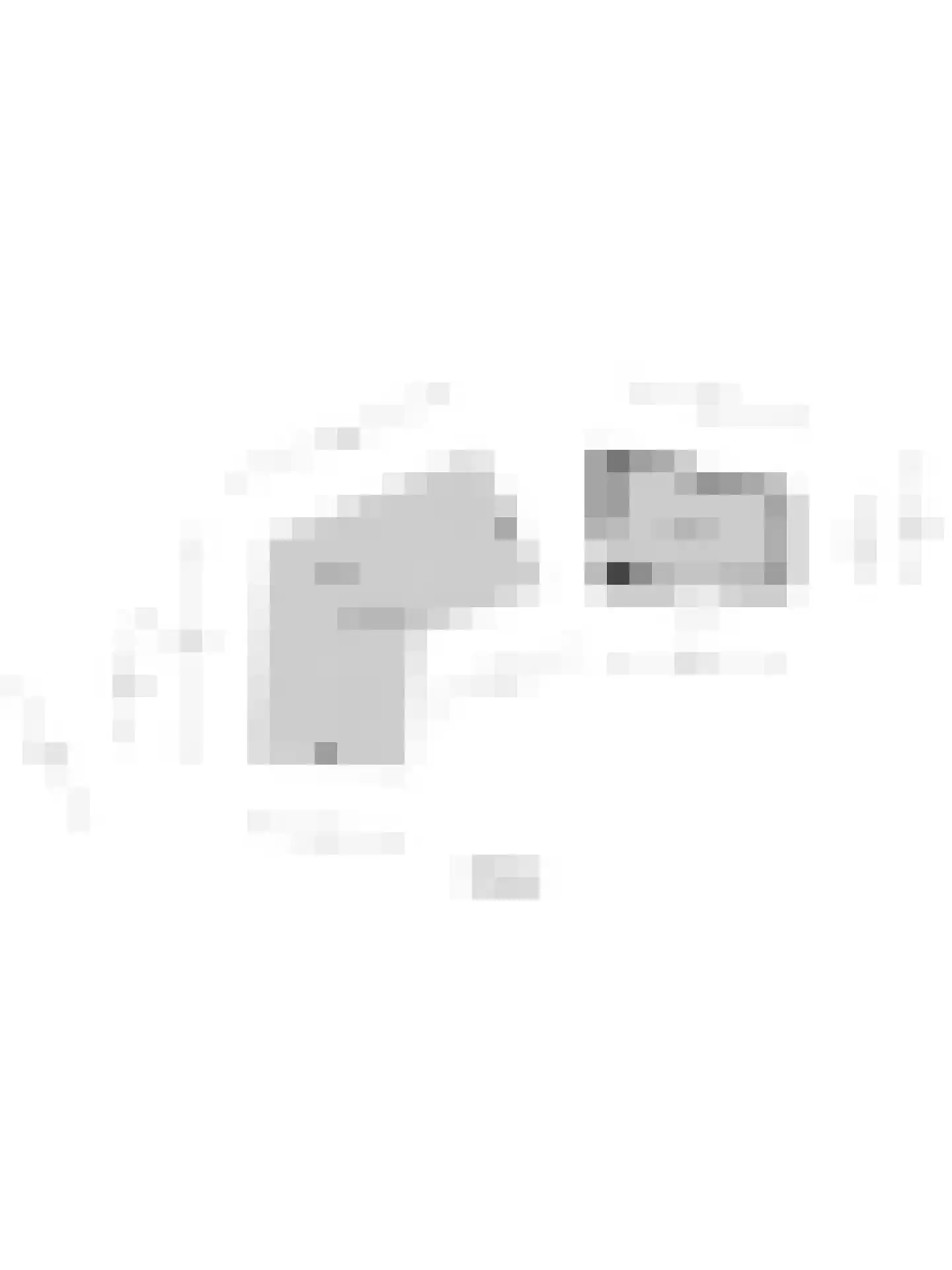 Molenstraat 41 b Goirle thumbnail 45