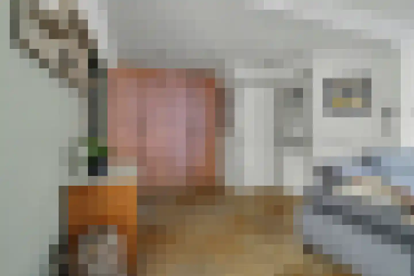 Molenstraat 41 b Goirle thumbnail 7