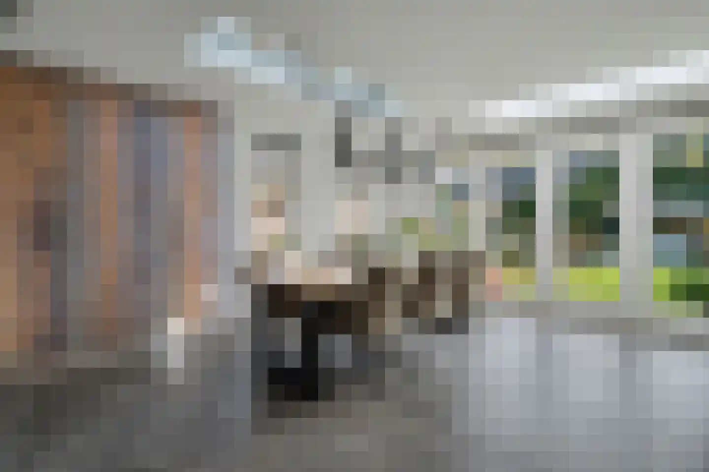 Molenstraat 41 b Goirle thumbnail 9
