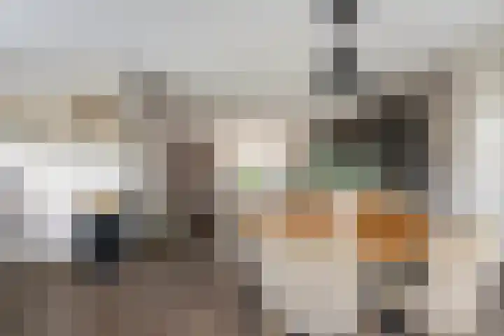 Molenstraat 41 Poortvliet thumbnail 13