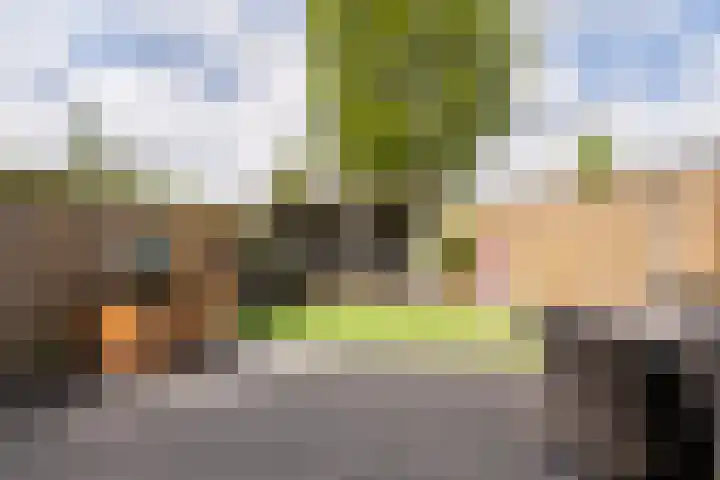 Molenstraat 41 Poortvliet thumbnail 31