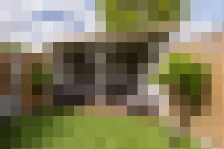 Molenstraat 41 Poortvliet thumbnail 32