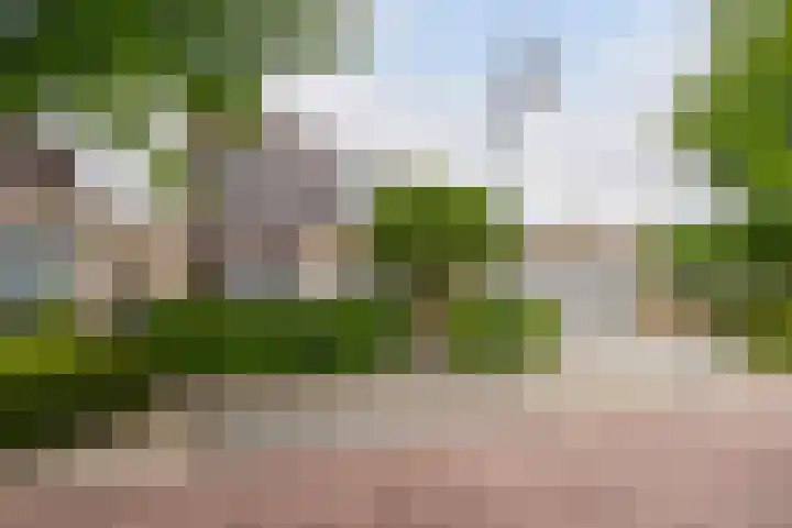 Molenstraat 41 Poortvliet thumbnail 36