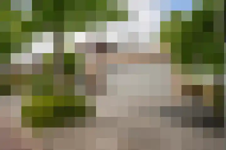 Molenstraat 41 Poortvliet thumbnail 7