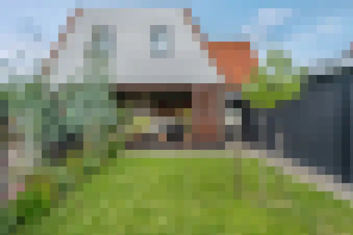 Molenstraat 41 Sint Jansklooster thumbnail 38