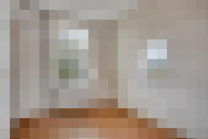Molenstraat 41 Zeeland thumbnail 11