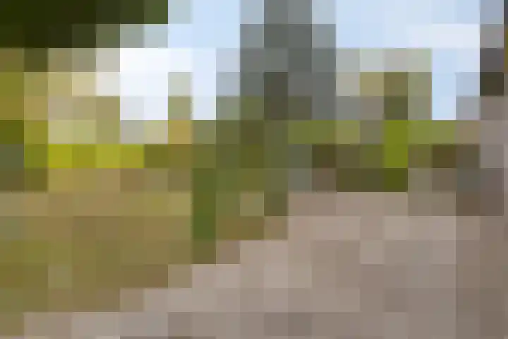 Molenstraat 41 Zeeland thumbnail 5