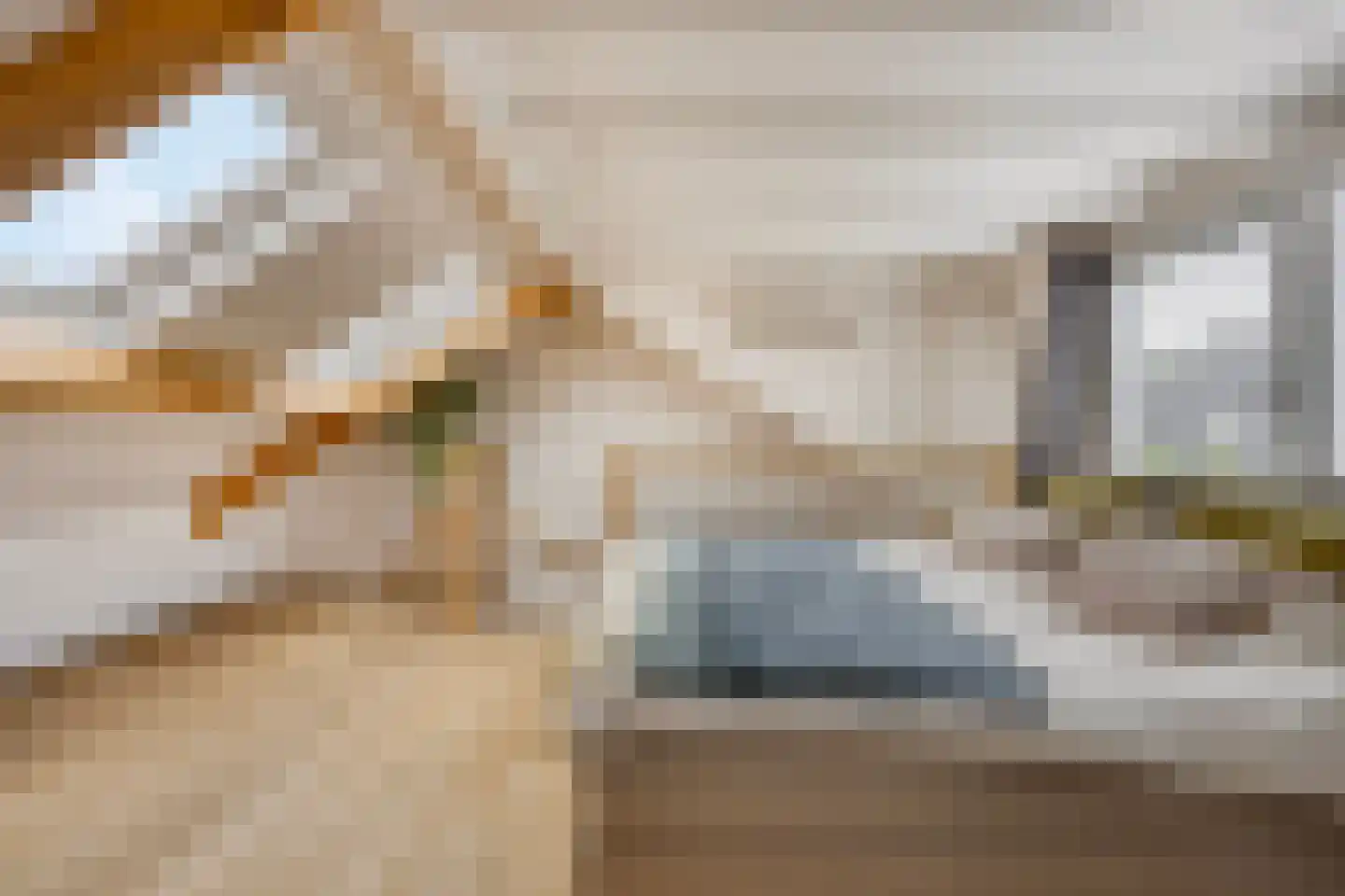 Molenstraat 42 Boven-Leeuwen thumbnail 37