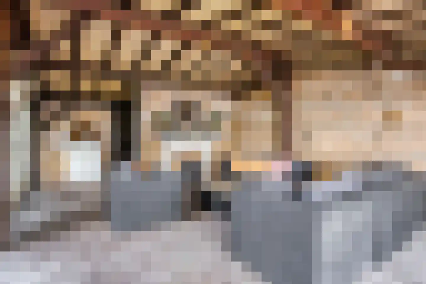 Molenstraat 42 Boven-Leeuwen thumbnail 42