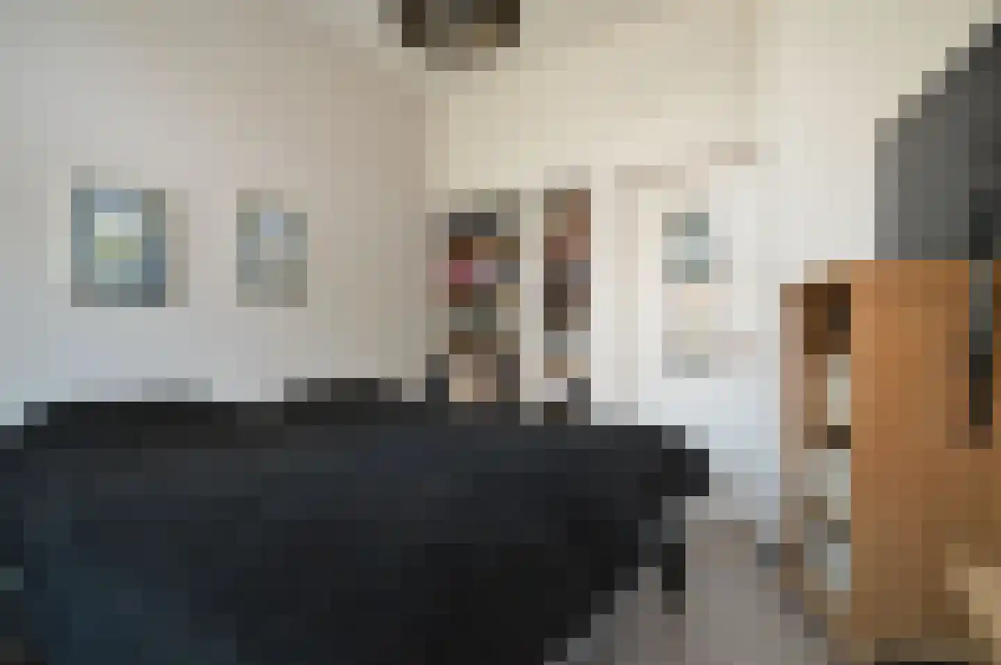 Molenstraat 42 Deurne thumbnail 11