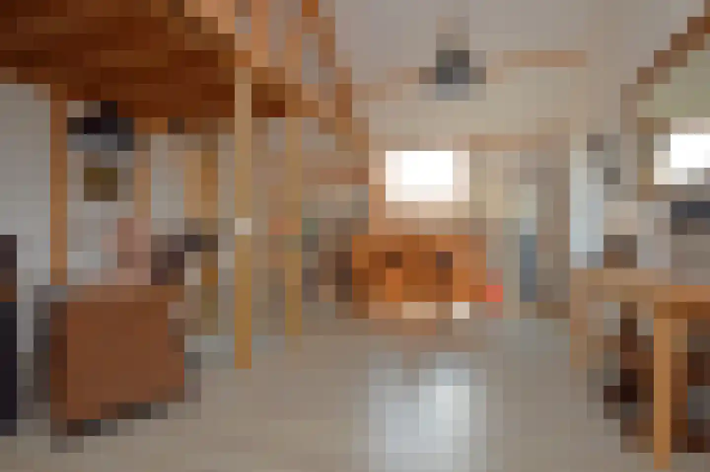 Molenstraat 42 Deurne thumbnail 15