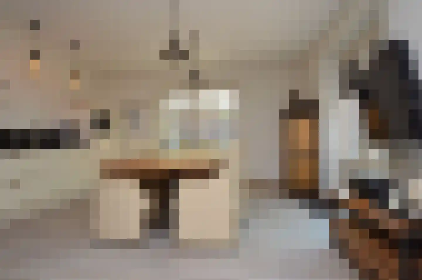 Molenstraat 42 Deurne thumbnail 5