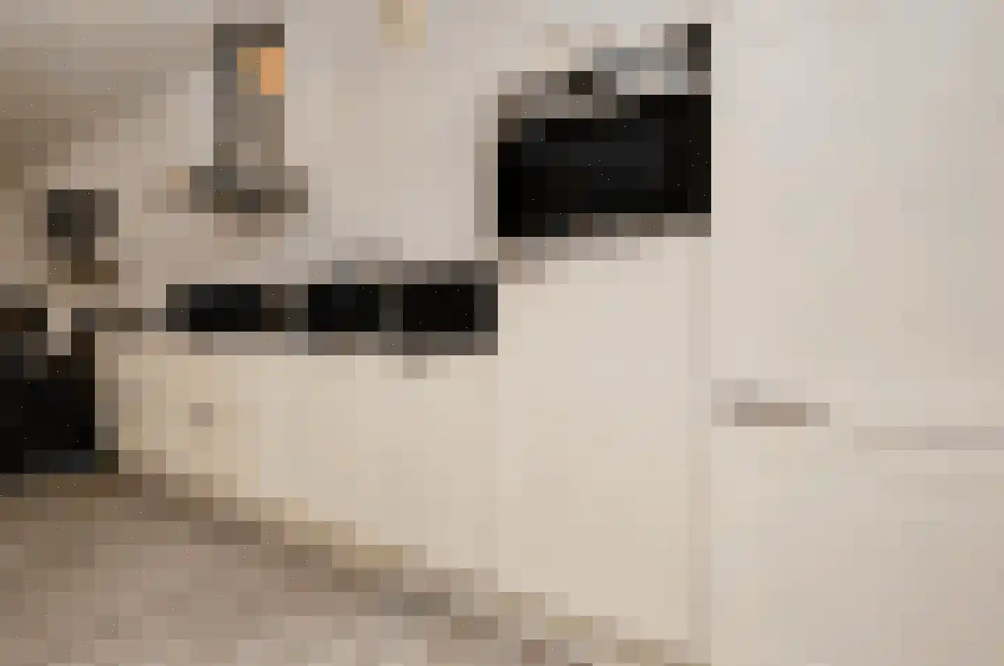 Molenstraat 42 Deurne thumbnail 6