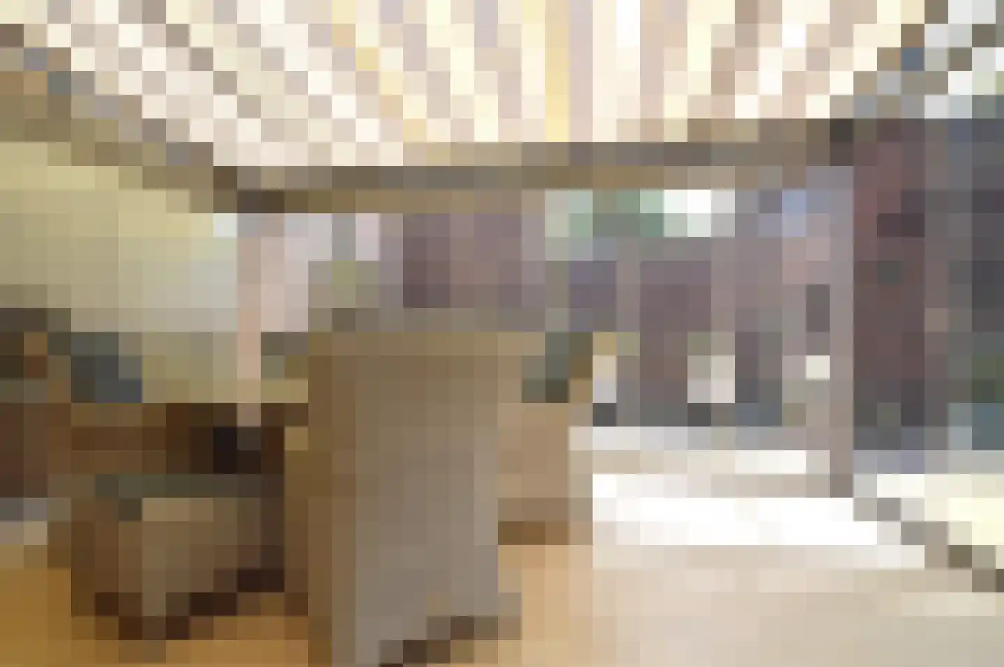 Molenstraat 42 Deurne thumbnail 8
