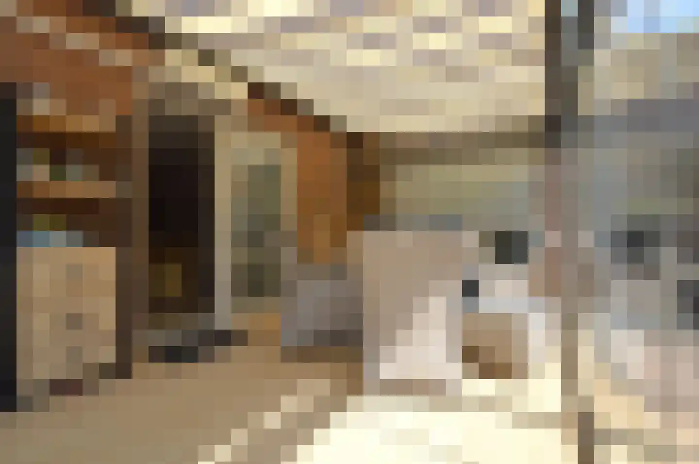 Molenstraat 42 Deurne thumbnail 9