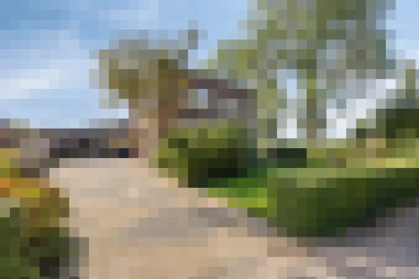 Molenstraat 42 Grijpskerk thumbnail 25