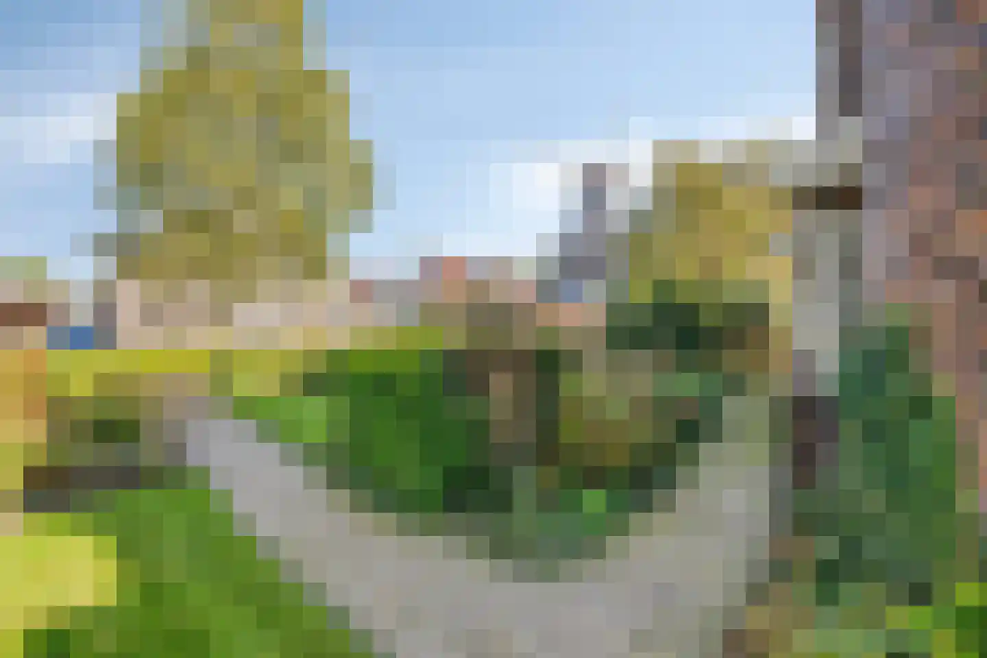 Molenstraat 42 Grijpskerk thumbnail 35