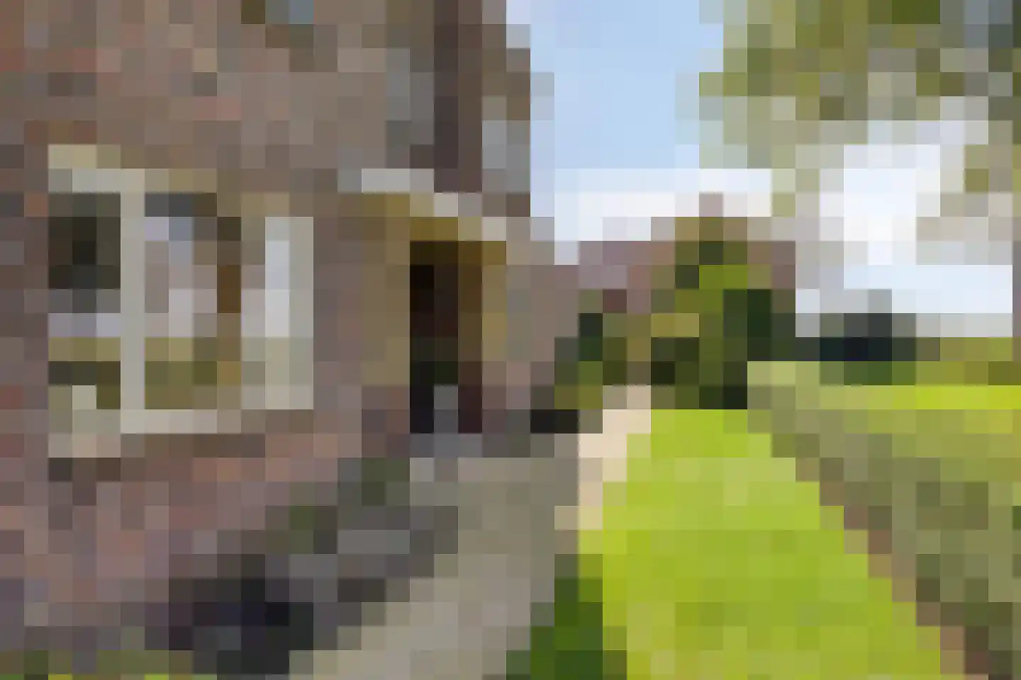 Molenstraat 42 Grijpskerk thumbnail 36
