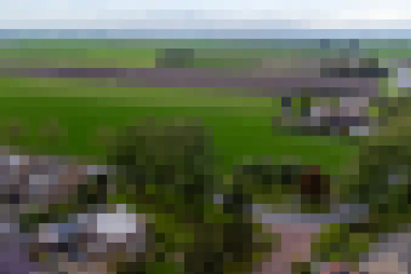 Molenstraat 42 Grijpskerk thumbnail 4