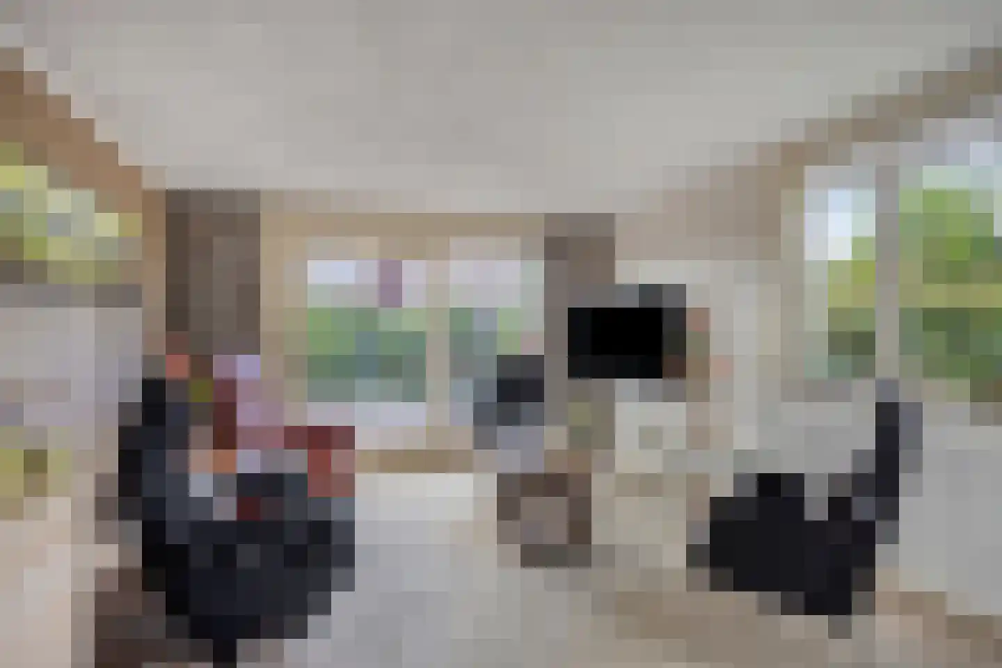 Molenstraat 42 Grijpskerk thumbnail 54