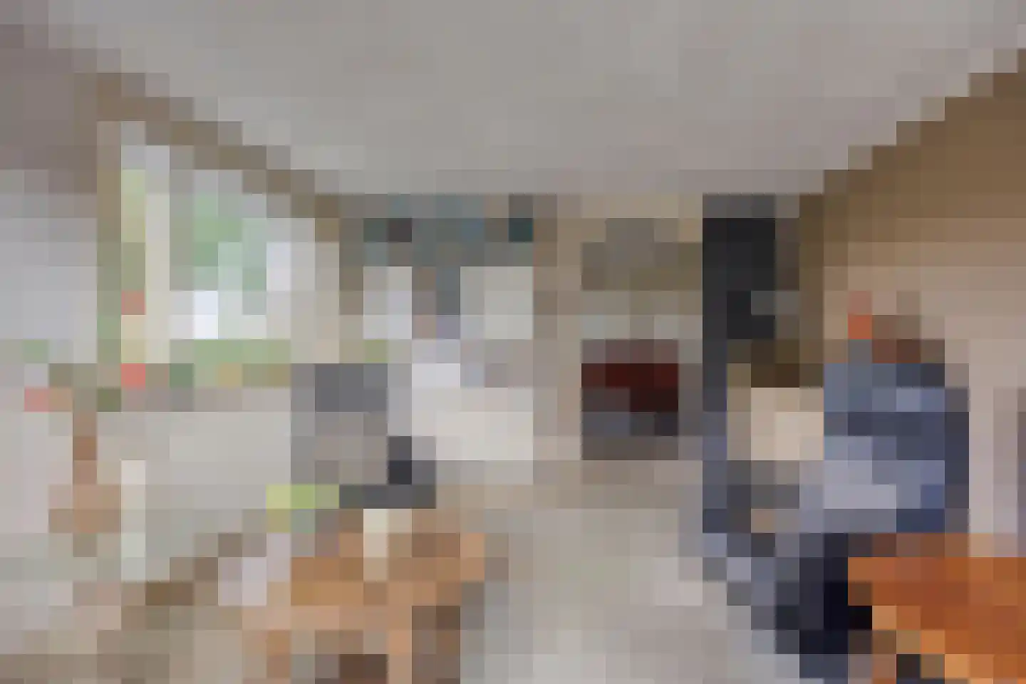 Molenstraat 42 Grijpskerk thumbnail 56