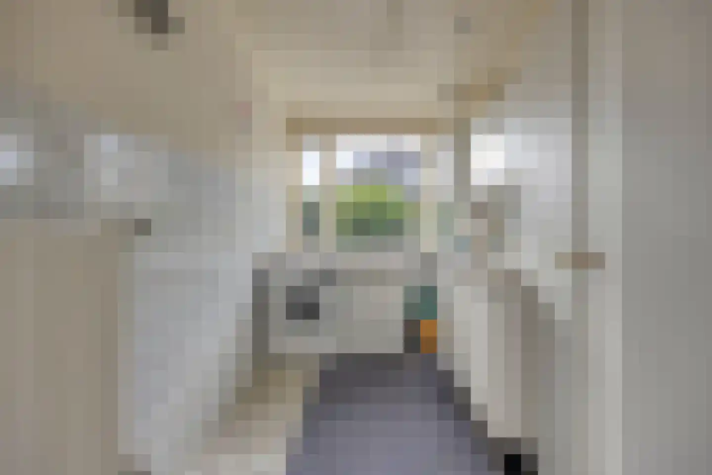 Molenstraat 42 Grijpskerk thumbnail 60