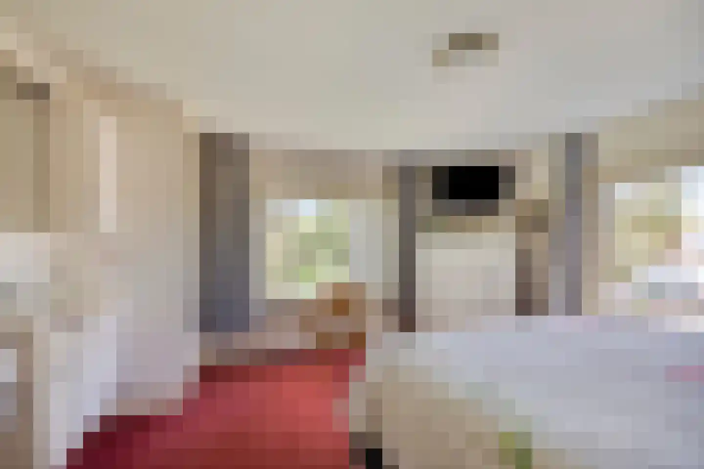 Molenstraat 42 Grijpskerk thumbnail 75