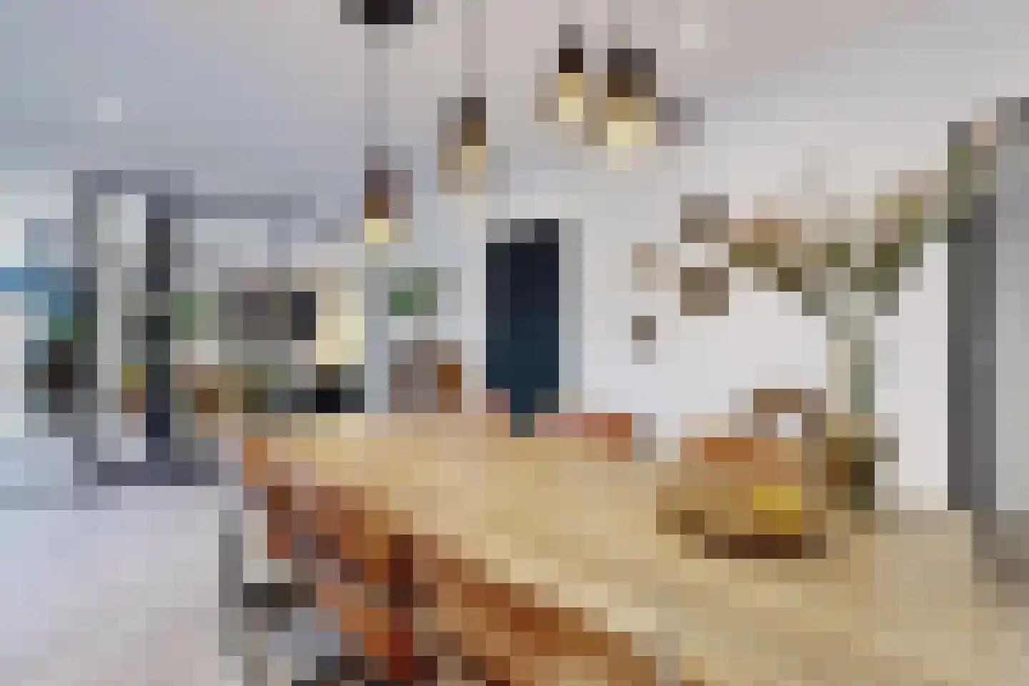Molenstraat 42 Zevenbergen thumbnail 12