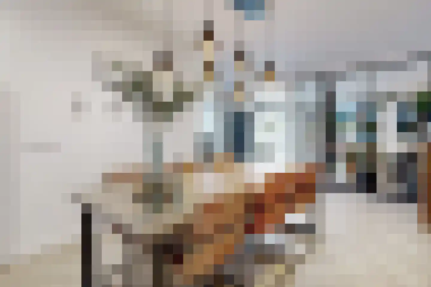 Molenstraat 42 Zevenbergen thumbnail 14