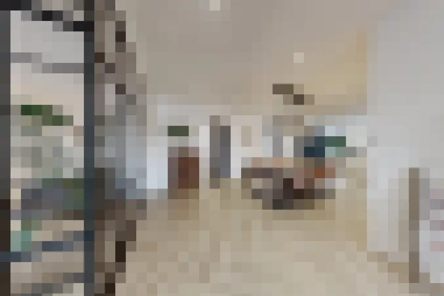 Molenstraat 42 Zevenbergen thumbnail 15