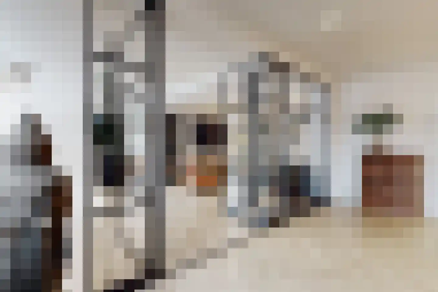 Molenstraat 42 Zevenbergen thumbnail 16