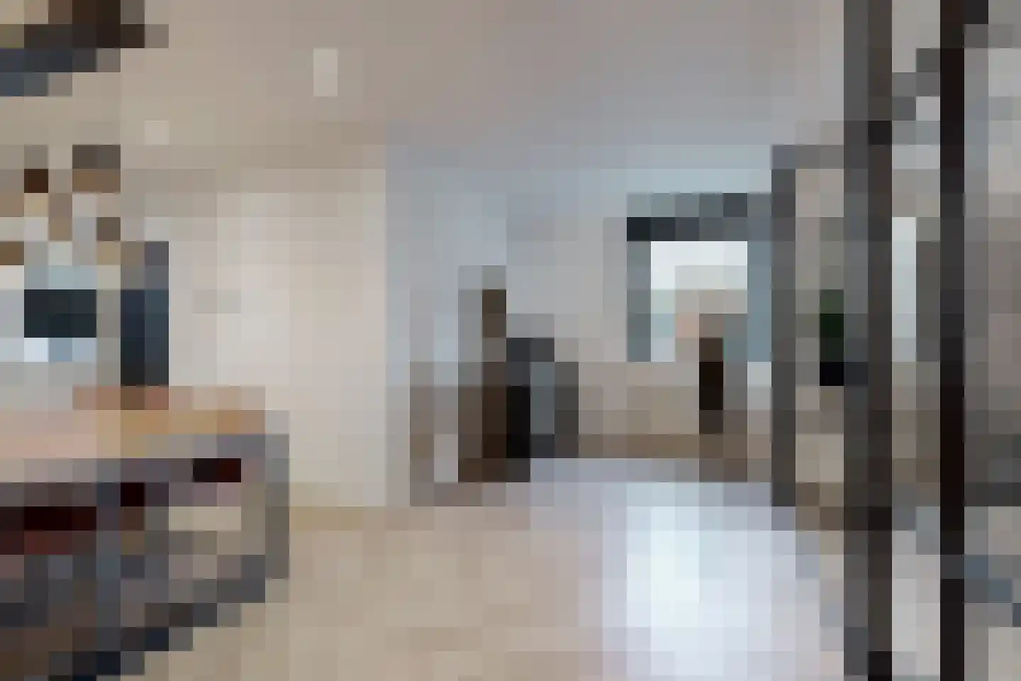 Molenstraat 42 Zevenbergen thumbnail 17