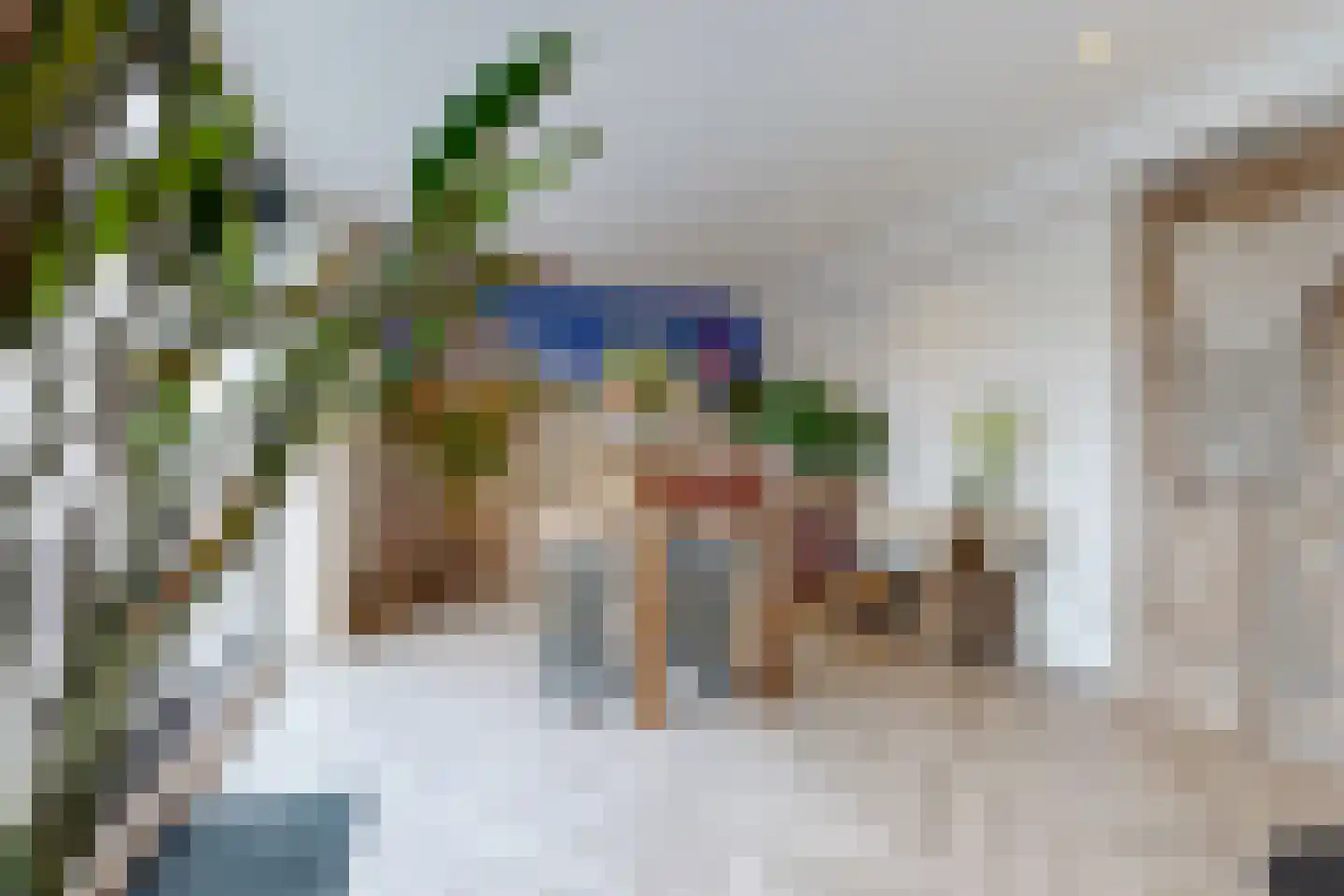 Molenstraat 42 Zevenbergen thumbnail 21