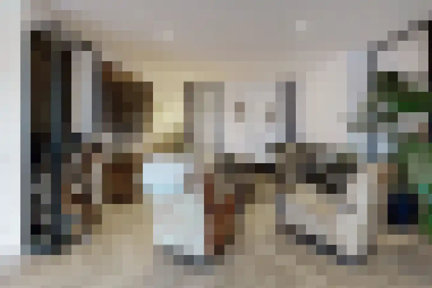 Molenstraat 42 Zevenbergen thumbnail 26