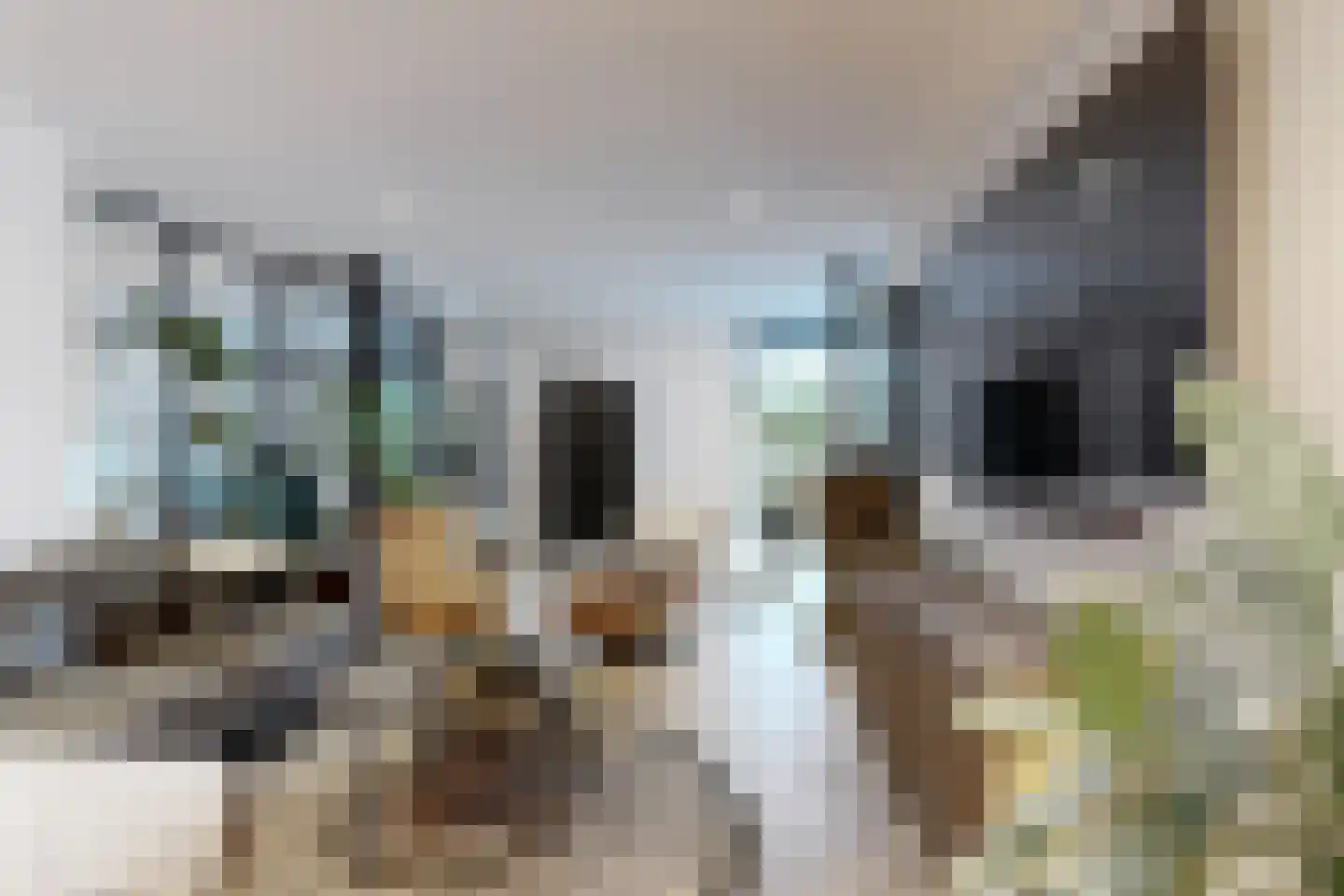 Molenstraat 42 Zevenbergen thumbnail 28