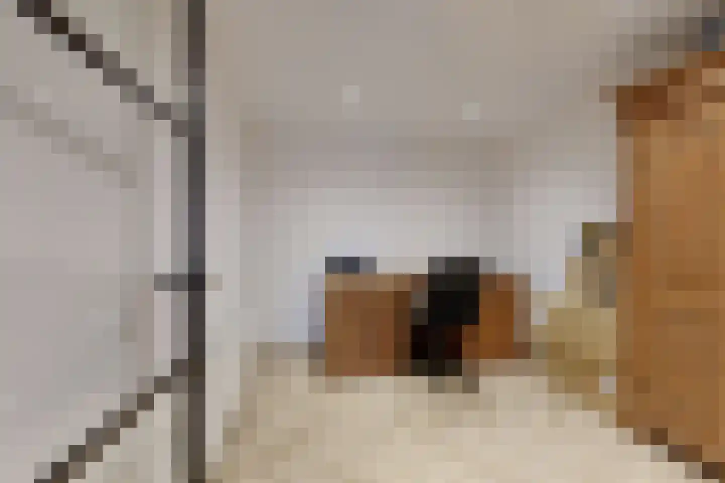 Molenstraat 42 Zevenbergen thumbnail 32