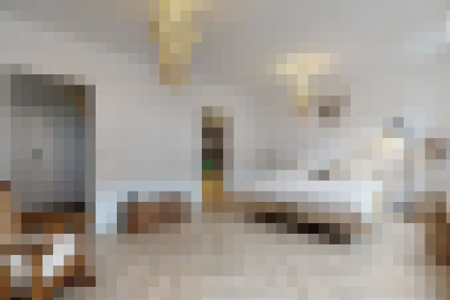 Molenstraat 42 Zevenbergen thumbnail 45