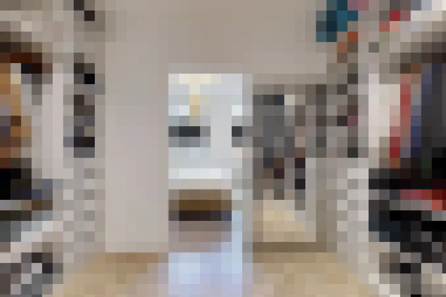 Molenstraat 42 Zevenbergen thumbnail 49