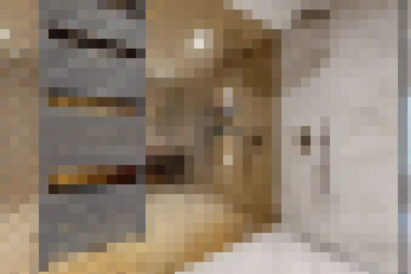 Molenstraat 42 Zevenbergen thumbnail 55