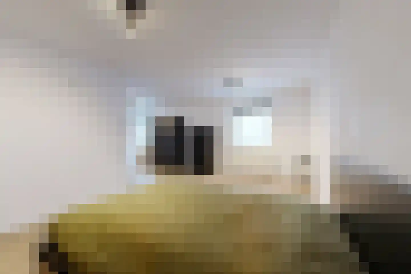 Molenstraat 42 Zevenbergen thumbnail 62