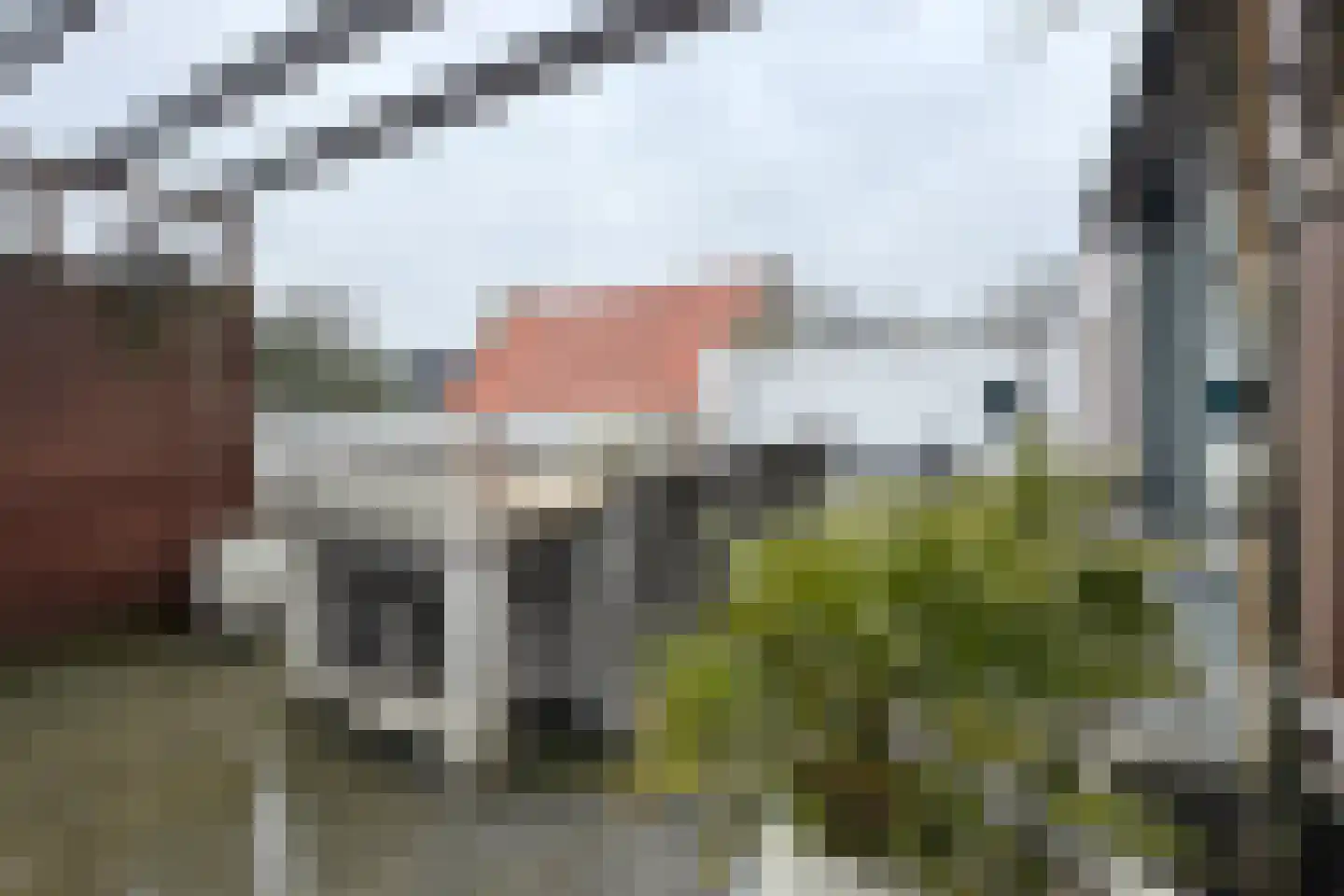 Molenstraat 42 Zevenbergen thumbnail 71