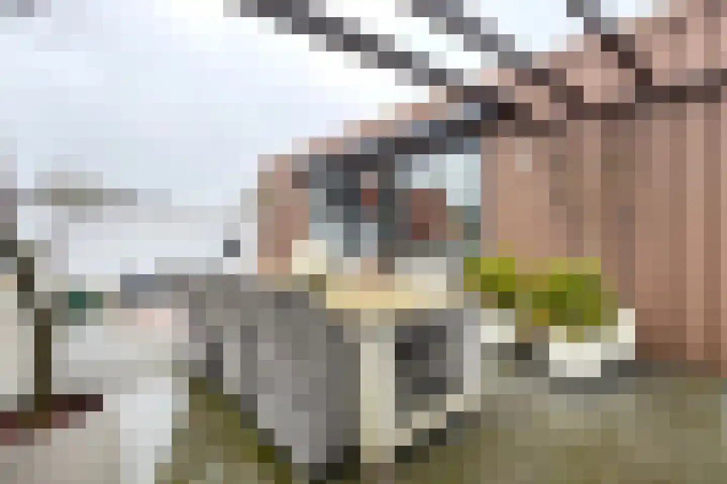 Molenstraat 42 Zevenbergen thumbnail 72