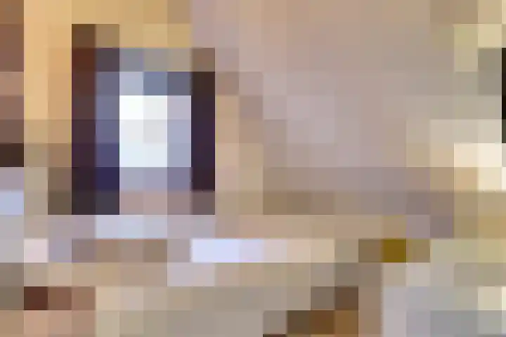 Molenstraat 43 A Twello thumbnail 24