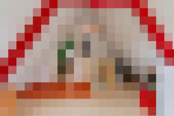 Molenstraat 43 Ophemert thumbnail 33