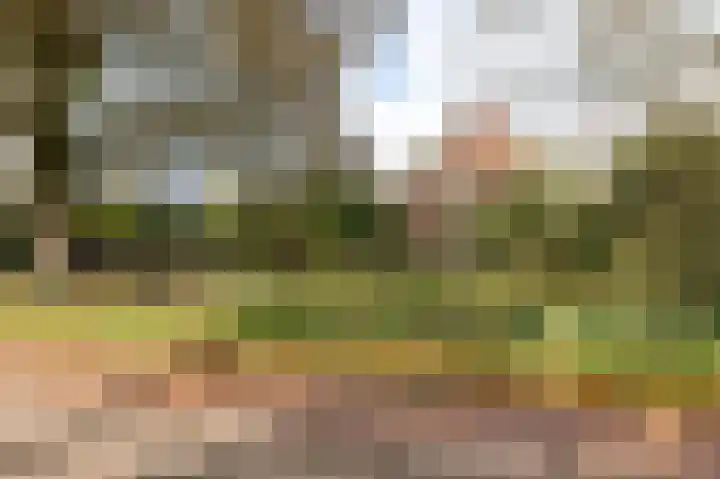 Molenstraat 43 Ophemert thumbnail 5
