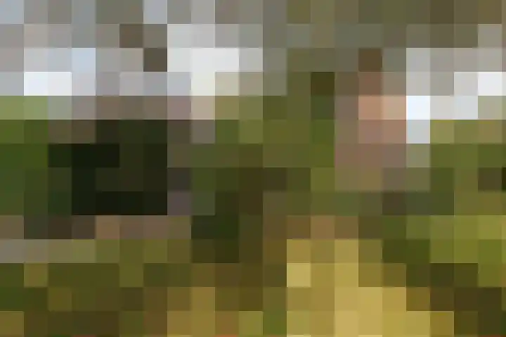 Molenstraat 43 Ophemert thumbnail 6