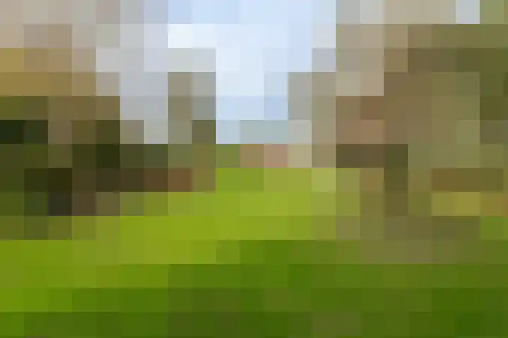 Molenstraat 43 Ophemert thumbnail 7