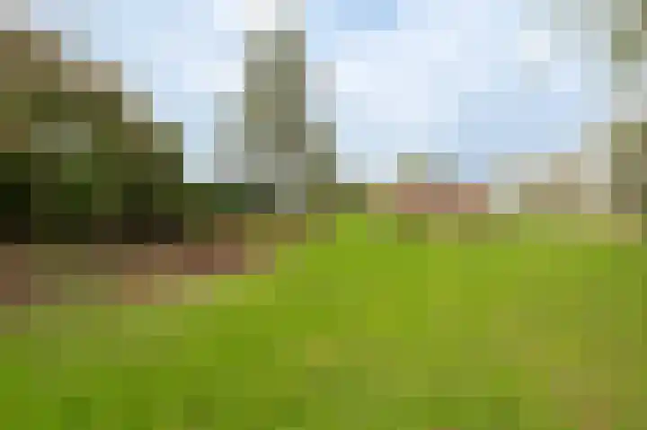 Molenstraat 43 Ophemert thumbnail 8
