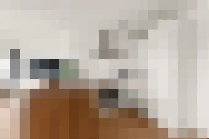 Molenstraat 43 T Nijmegen thumbnail 9